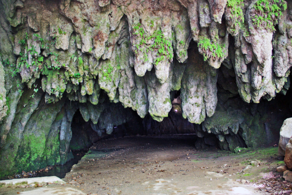 千仏鍾乳洞 Japan KYUSHU Tourist ジャパン九州ツーリスト株式会社