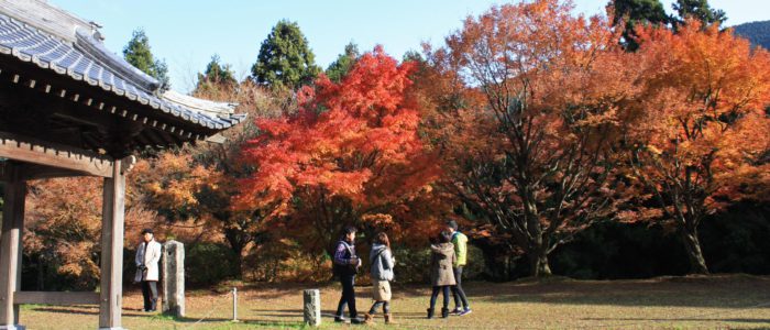 福岡の魅力再発見