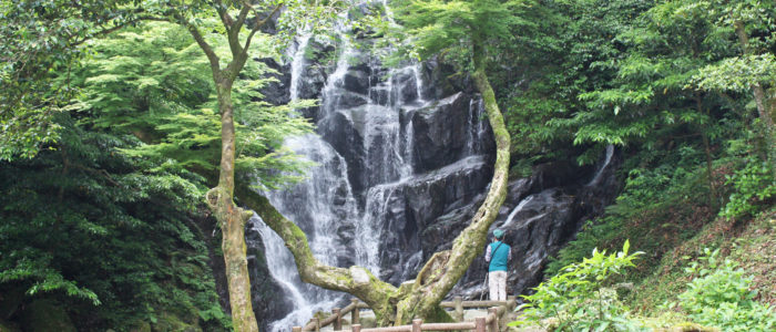 福岡の魅力再発見　