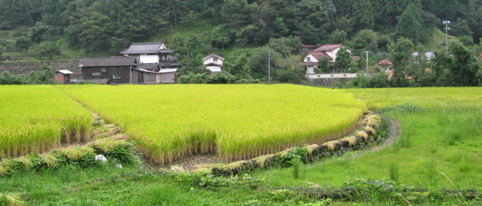 福岡の魅力再発見　