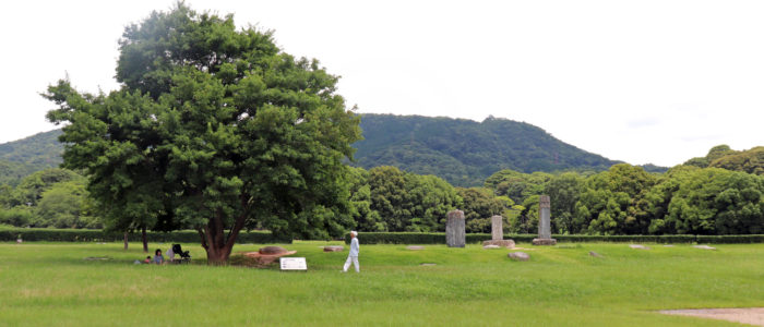 福岡の魅力再発見