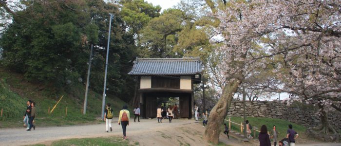 福岡の魅力再発見　