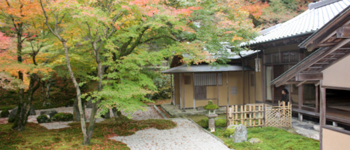 福岡の魅力再発見　