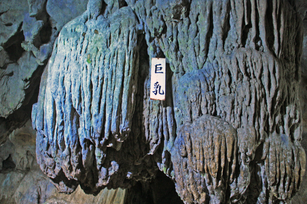 千仏鍾乳洞 Japan KYUSHU Tourist ジャパン九州ツーリスト株式会社