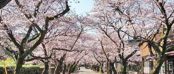 福岡の魅力再発見　